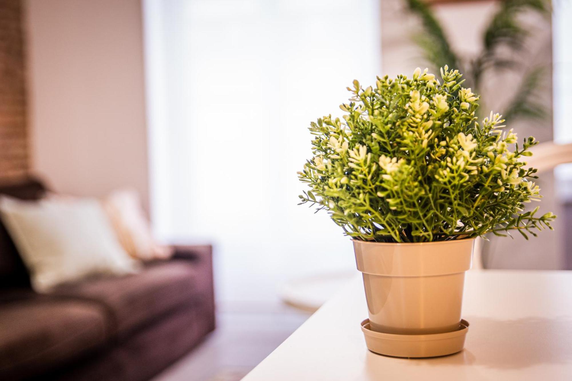Cartagenaflats, Apartamentos San Francisco Екстер'єр фото